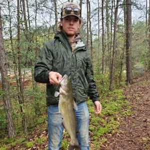 Meet your Posher, Trevor